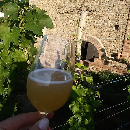 Vinarstvi Lintner Vendégház Tvorihraz